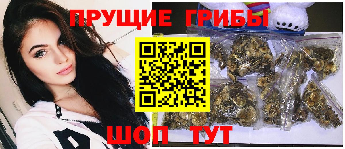 Псилоцибиновые грибы Magic Shrooms Кашира